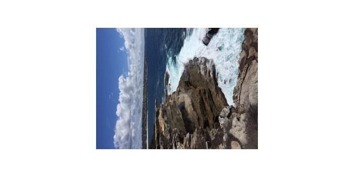 Marche - Malabar Headland