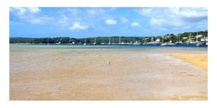 Balade à Cronulla (Bis)