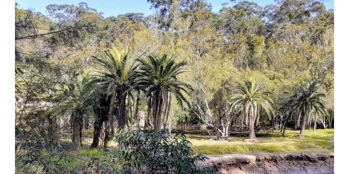 Balade de Two Creeks Track