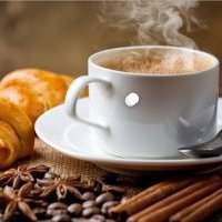 Café du mois : Café des Voyages