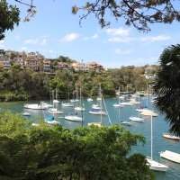 Balade de Taronga Zoo à Neutral Bay, via Cremorne