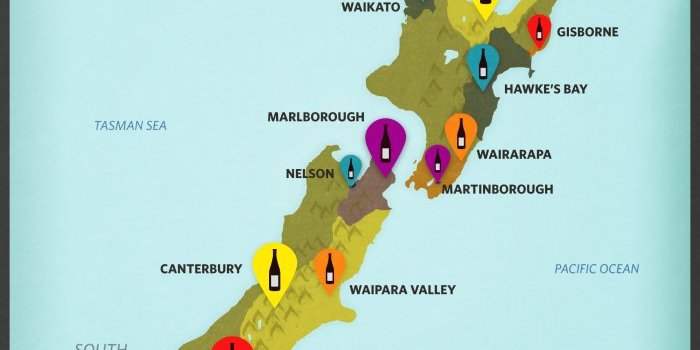 Dégustation de vins - Nouvelle Zélande