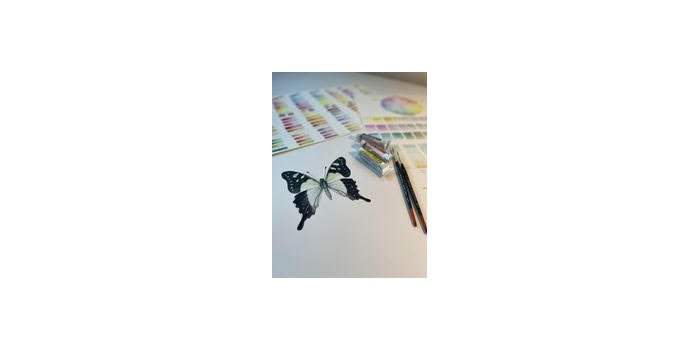 Atelier d'aquarelle enfants et ado