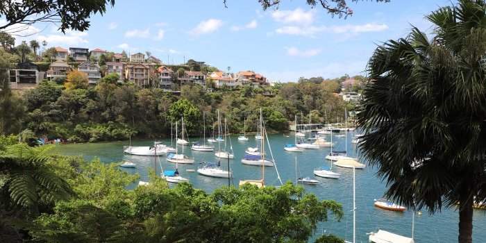 Balade de Taronga Zoo à Neutral Bay, via Cremorne