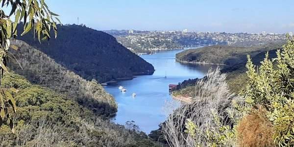 Balade à Bantry Bay