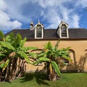 Vaucluse House