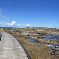 Marche des familles - Botany bay