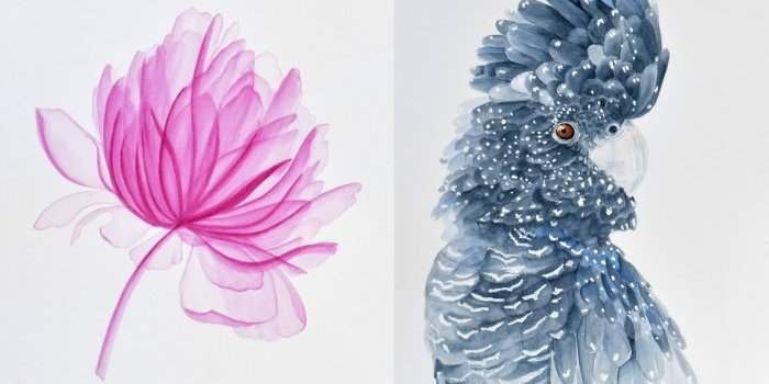 Cours d'aquarelle