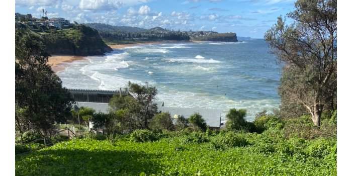 4- Avalon à Palm beach 