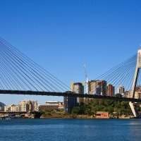 Marche des familles autour de Blackwattle Bay