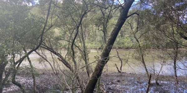 Balade de Two Creeks Track