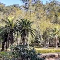 Ballade des familles : manly dam track