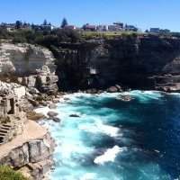 North Bondi to Watsons bay