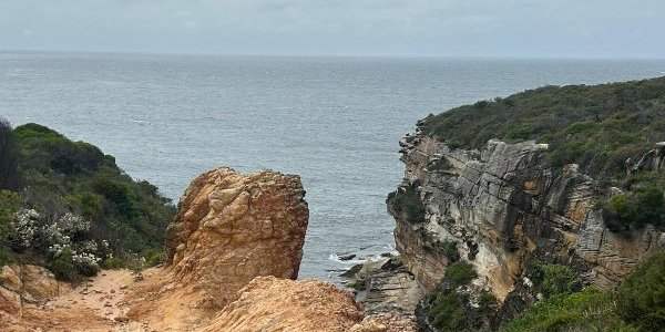 Balade avec les membres de FASS, Maroubra-Malabar