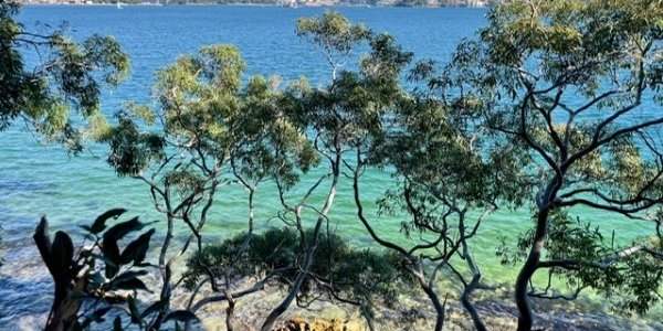 Balade à Mosman et déjeuner à l'Héritage